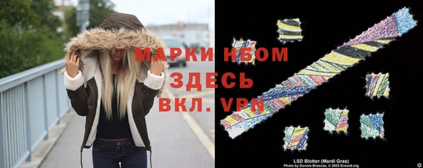 spice Баксан