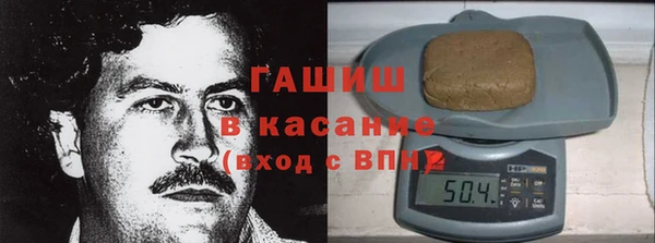 индика Балахна