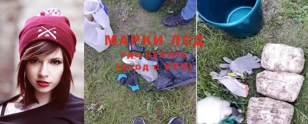 индика Балахна