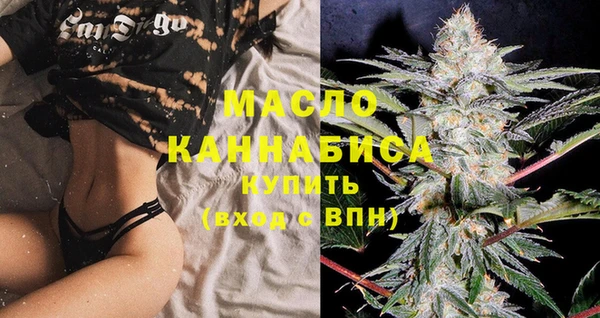 индика Балахна
