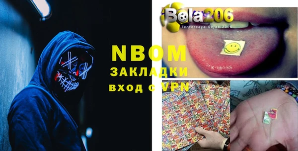 индика Балахна