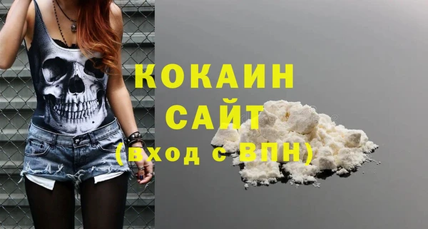 индика Балахна