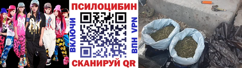 KRAKEN сайт  закладка  Печора  Псилоцибиновые грибы мицелий 